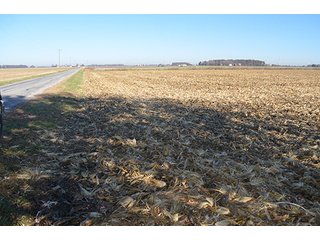 Tracts 4 & 5 - FARMLAND AUCTION - 165.5+/- ACRES OFFERED IN 5 TRACTS OR COMBINATIONS IN EAST ALLEN COUNTY